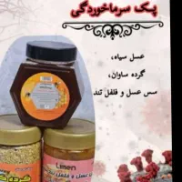 سونو گرافی بدن و درمان بیماری ها با لایمن کردستان