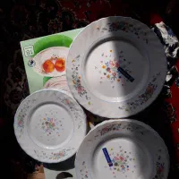 ظروف گل گندمی ژاپنی قدیمی بشقاب گل ویکتوریا فرانسه|ظروف سرو و پذیرایی|یزد, |دیوار