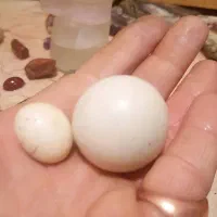 شهاب سنگ وسنگ اسیاب|کلکسیون اشیاء عتیقه|سلمان‌شهر, |دیوار