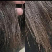 اصلاح و خدمات تخصصی موخوره گیری  در  سالن  ومنزل