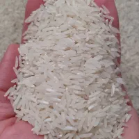 فروش برنج فجر مزرعه خودم