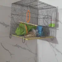 قفس پرمده