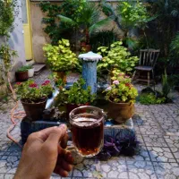 خانه-ویلایی-همراه-تجاری