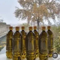 کلکسیون طلای سبز