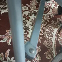 کالسکه عصایی