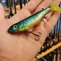 ماهی ژله ای|ماهیگیری|مشهد, آزادشهر|دیوار