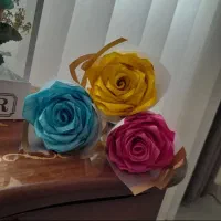 گل روبانی زیبا