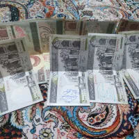 کلکسیون اسکنا س
