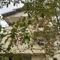 خانه ی ویلایی  در لیسار|فروش خانه و ویلا|لیسار, |دیوار