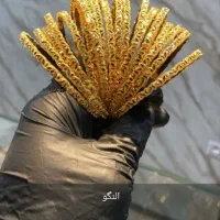 النگو|جواهرات|اهواز, نادری|دیوار