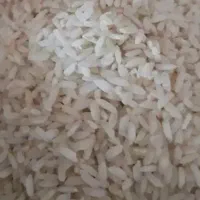 برنج چمپا