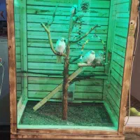 قفس چوبی پرنده