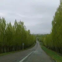 خانه ویلایی روستای ساریجالو