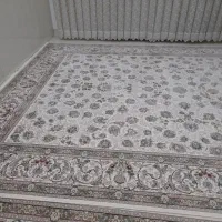 فرش|فرش|صالح آباد, |دیوار