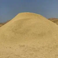 گندم و کاه دیم