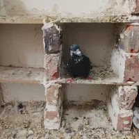 بناب روستای خانه برق جدید خیابان مخابرات