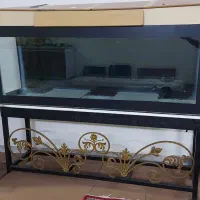 آکواریوم حرفه ای بزرگ