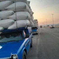 کاه گندم و سیلو|عمدهفروشی|رامسر, |دیوار