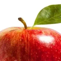باغچه-120-متربه-بالا-ملارد-لم-آباد-مناسب-بودجه-شما