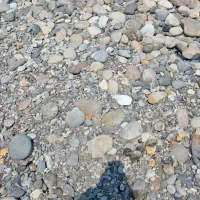 زمین-کشاورزی