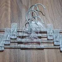 چوبکار، شاخه، مانکن، حلقه