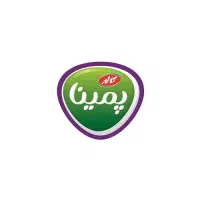 استخدام ویزیتور