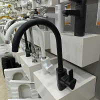 شیر آلات جمیرا (میرا مشکی)