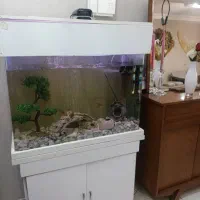 آکواریوم شیشه خم شرکتی