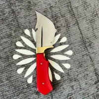 چاقوکوچک و بزرگ هر چاقویی بخایی هست|کوهنوردی و کمپینگ|نیشابور, پنجراه|دیوار