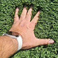 چمن مصنوعی دست دوم فوتبالی +خارجی کارکرده و استوک|گل مصنوعی|تهران, فلسطین (میدان انقلاب)|دیوار