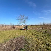 زمین-باغی-در-منطقه-شهری-کیاشهر