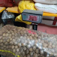 گردو تویسرکان پوست کاغذی|خوردنی و آشامیدنی|شراء, |دیوار