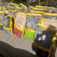 جوسرا هپی کت هپی داگ عمده و تکی