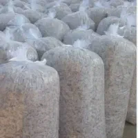 پخش تفاله چغندر  عمده