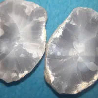 این سنگ بخارشورفروشی