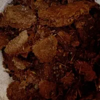 کود گوسفندی