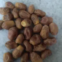 خرمازاهدی|عمده‌فروشی|اهواز, زیتون کارمندی|دیوار