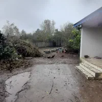 فروش زمین و خانه قدیمی|فروش زمین و ملک کلنگی|رضوانشهر, |دیوار