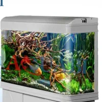 آکواریوم دلسا k800