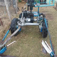 دروگر ایتالیا (علف چین)