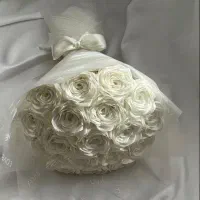 گل رز روبانی
