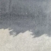 موکت پالاز