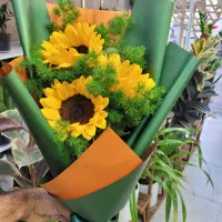 آفتابگردون خارجی ۸۰ تومان