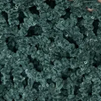 پارچه مجلسی