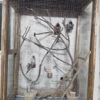 قفس|لوازم جانبی حیوانات|بروجرد, |دیوار