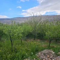 606 متر زمین ویلای دشت اول گرمابسرد دماوند|فروش زمین و ملک کلنگی|دماوند, دماوند|دیوار