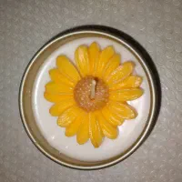 شمع یلدایی|صنایع دستی و سایر لوازم تزئینی|تبریز, |دیوار