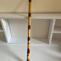 نی سل کوک
