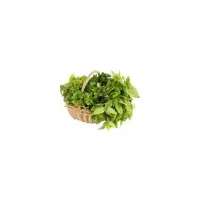 سبزی نیشابور