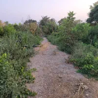 فروش زمین ۶۰۰ متری در شهرک امام حسین (میان آباد)|فروش زمین و ملک کلنگی|اسلام‌شهر, شهرک امام حسین (میان آباد)|دیوار